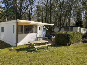 Spacious holiday home in Vledder in the woods of Drenthe